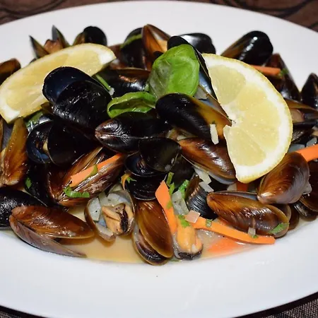 Cosher - Gardenia Palace 11 Free Parking Lejlighed Pomorie